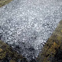 یک جفت فرش ۹ متری کاملا نو