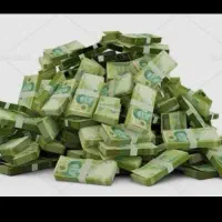 ضامن بانکی شوید