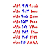 0919-919-9005