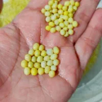 حلزون طبی البینو برای پوست