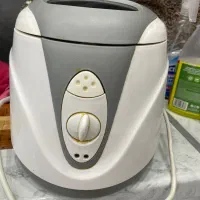 سرخ کن deep fryer