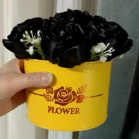 باکس های اقتصادی