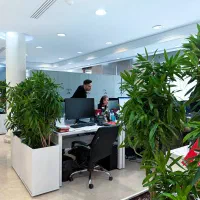 استخدام دستیار  و منشی