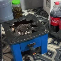 گاز