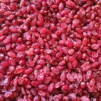 تخفیف فوق العاده