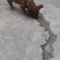 یک پا کوتاهی خوب