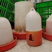 آبخوری طیور