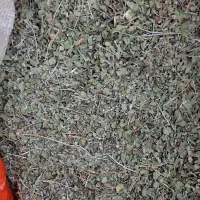 آویشن کوهی اصل،انواع سبزی خشک خونگی