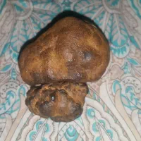 دوعدد سنگ چگالی ۳/۱۶دهم