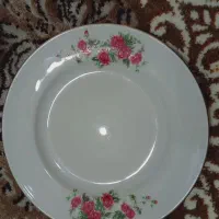 ظروف گل قرمز