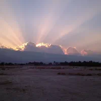 فروش زمین باغی در محدوده مرکزی لامرد