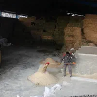 فروش فوری دامداری