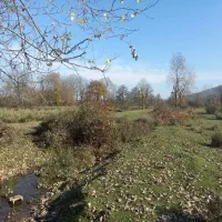 فروش زمین مناسب برای مرغداری