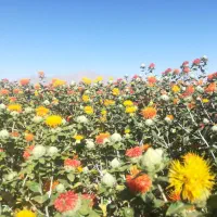 زمین-فاز-2-منابع-طبیعی