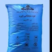 کبوتر