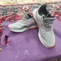 کفش اورجینال تاناکورا
