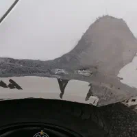 نقاشی مجید