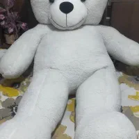 خرس بزرگ