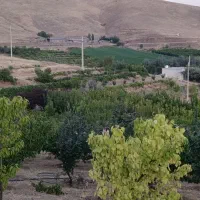 باغ-و-زمین-کشاورزی-روستای-قلیان