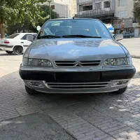 زانتیا درحد خشک