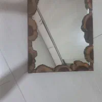 اینه دور چوب درخت