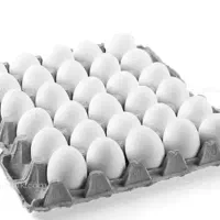 فروش تخم گلین