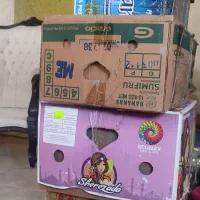 کارتن موز