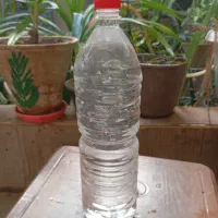 بادرشمی
