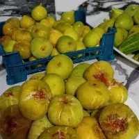 انجیر و مربای انجیر