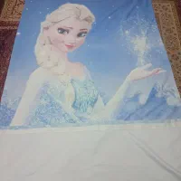 تعداد دو عدد پرده پانچ