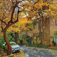 ۲۱۰ متر - یارمحمدی - یک از سه - ۱۸۰ متر قدرالسهم
