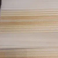 زبرا همه مدل فقط ۱۲۰۰