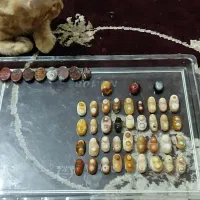 نگین باباقوری دوچشم گلچین