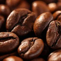 استخدام باریستا کافه بیرون بر