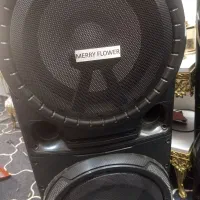 باند