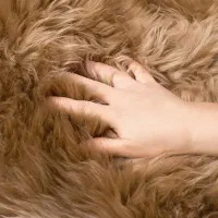 پوست طبیعی گوسفند
