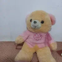 خرس عروسکی خوشرنگ