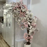 درختچه شکوفه بزرگ و زیبا