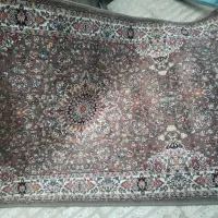 کناره گردویی