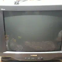 فروش تلویزیون ۲۱ اینچ قدیمی صنام