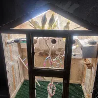 قفس چوبی پرنده عروس هلندی