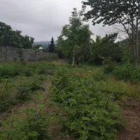 یک-زمین-حدودا-300متری-بایک-سویت-نقلی