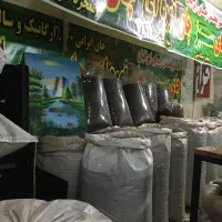 دفتر پخش چای ایرانیان