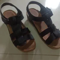 صندل بهارانه