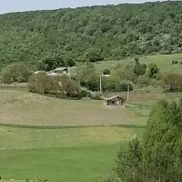 زمین