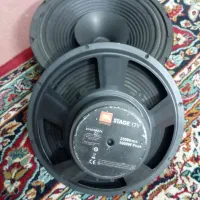 میدرنج سایز۱۰