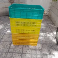 سبد پلاستیکی