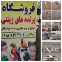 پرندگان‌زینتی‌ولوازم جانبی(عروس‌هلندی،قناری،سهره)