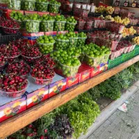 کارگر ساده میوه فروشی