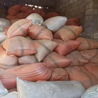 کاه گندم باکیفیت